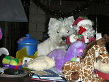 parmi les peluches!