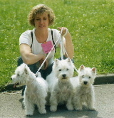 La petite famille