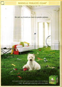 nouvelle publicit� 